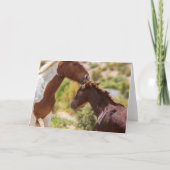 Mammie Kusjes Kaart (Voorkant)