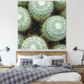 Mammillaria hahniana canvas afdruk (Insitu (Slaapkamer))