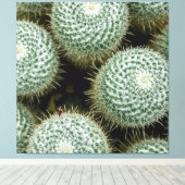 Mammillaria hahniana canvas afdruk (Insitu (Houten vloer))