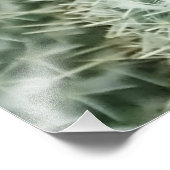 Mammillaria hahniana foto afdruk (Hoek)