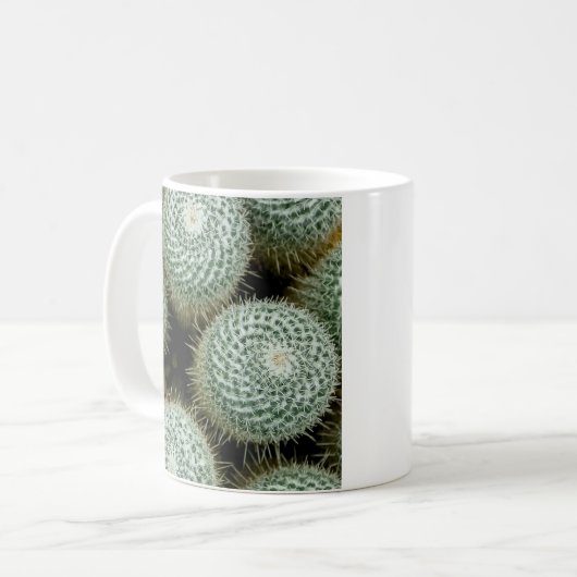 Mammillaria hahniana koffiemok (Voorkant links)