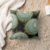 Mammillaria hahniana-Sierkussen Kussen (Deken)