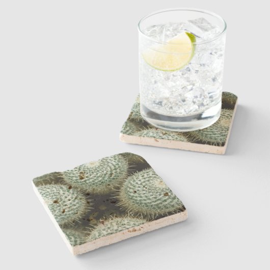 Mammillaria hahniana stenen onderzetter (Zijkant)