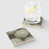 Mammillaria hahniana stenen onderzetter (Zijkant)