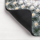 Mammillaria mousepad muismat (Hoek)