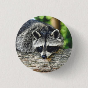 Mammische foto van het stamboek van het wild ronde button 3,2 cm