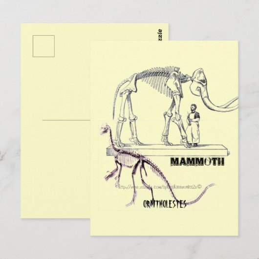 "Mammoet" Briefkaart (Voorkant / Achterkant)