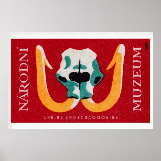 Mammoet Schedel - Matchbox Print - Tsjechische Muu (Voorkant)