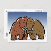 mammokoppel briefkaart (Voorkant / Achterkant)