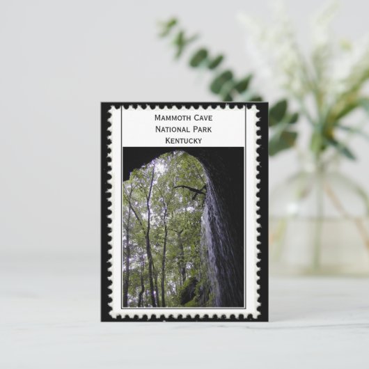 Mammoth Cave Kentucky Briefkaart (Staand voorkant)