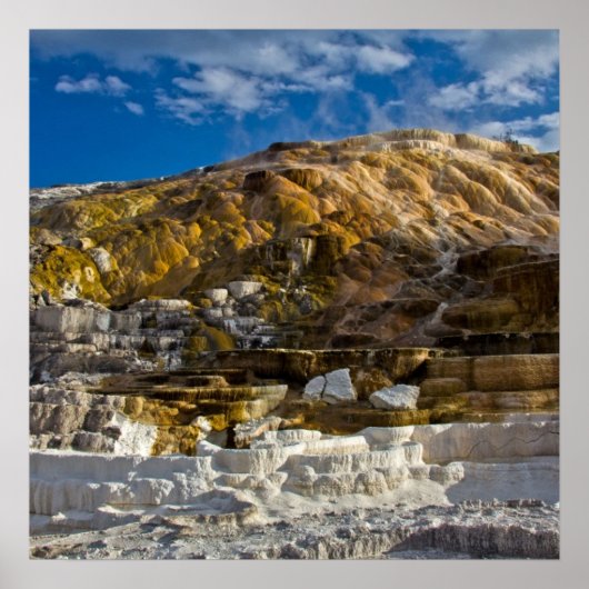 Mammoth Hot Spring Poster (Voorkant)