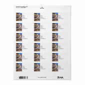 Mammoth Hot Springs-adreslabel Etiket (Full Sheet)