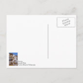 Mammoth Hot Springs Briefkaart (Achterkant)