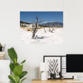 Mammoth Hot Springs Main Terrace Poster (Thuiskantoor)