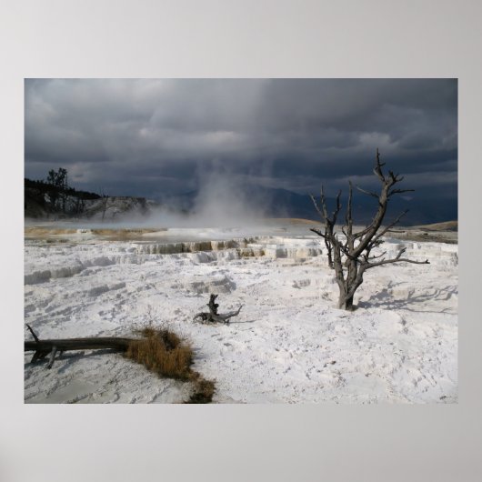 Mammoth Hot Springs Poster (Voorkant)