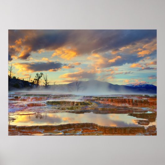 Mammoth Hot Springs Poster (Voorkant)