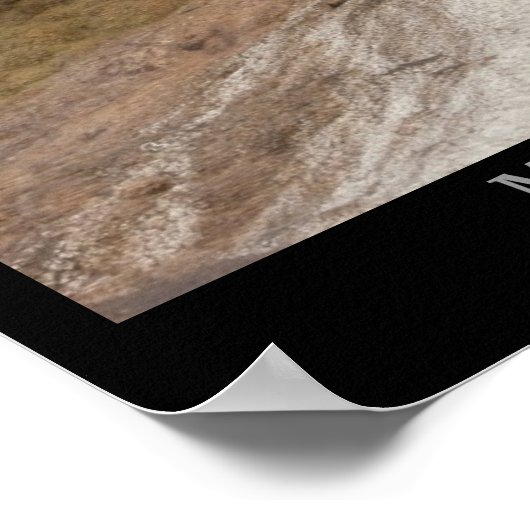 Mammoth Hot Springs Poster (Hoek)