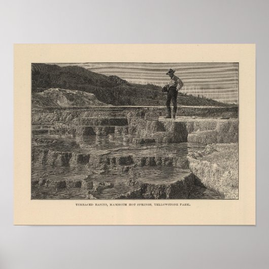 Mammoth Hot Springs-uitzicht Poster (Voorkant)