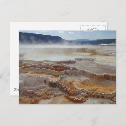 Mammoth Hot Springs Yellowstone Briefkaart (Voorkant / Achterkant)