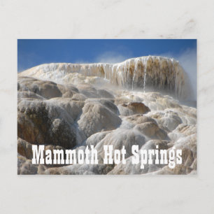 Mammoth Hot Springs, Yellowstone National Park Briefkaart