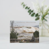 Mammoth Hot Springs, Yellowstone National Park Briefkaart (Staand voorkant)