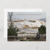 Mammoth Hot Springs, Yellowstone National Park Briefkaart (Voorkant / Achterkant)