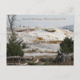 Mammoth Hot Springs, Yellowstone National Park Briefkaart