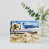 Mammoth Hot Springs, Yellowstone National Park Briefkaart (Staand voorkant)