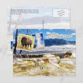 Mammoth Hot Springs, Yellowstone National Park Briefkaart (Voorkant / Achterkant)
