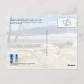 Mammoth Hot Springs, Yellowstone National Park Briefkaart (Achterkant)