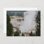 Mammoth Hot Springs, Yellowstone National Park Briefkaart (Voorkant / Achterkant)