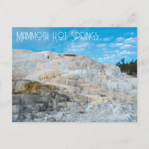 Mammoth Hot Springs Yellowstone National Park Briefkaart