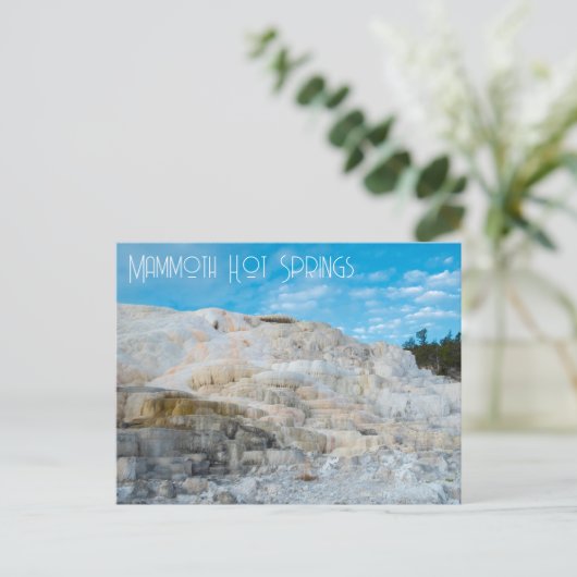 Mammoth Hot Springs Yellowstone National Park Briefkaart (Staand voorkant)