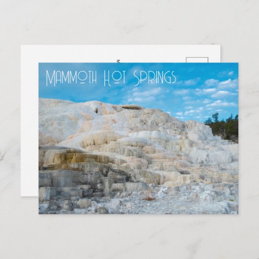 Mammoth Hot Springs Yellowstone National Park Briefkaart (Voorkant / Achterkant)