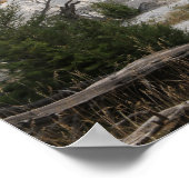 Mammoth Hot Springs, Yellowstone National Park Poster (Hoek)