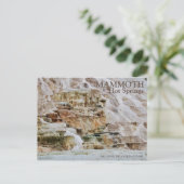 MAMMOTH HOT SPRINGS, YELLOWSTONE NATIONAL PARK, WY BRIEFKAART (Staand voorkant)