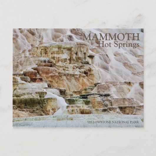 MAMMOTH HOT SPRINGS, YELLOWSTONE NATIONAL PARK, WY BRIEFKAART (Voorkant)