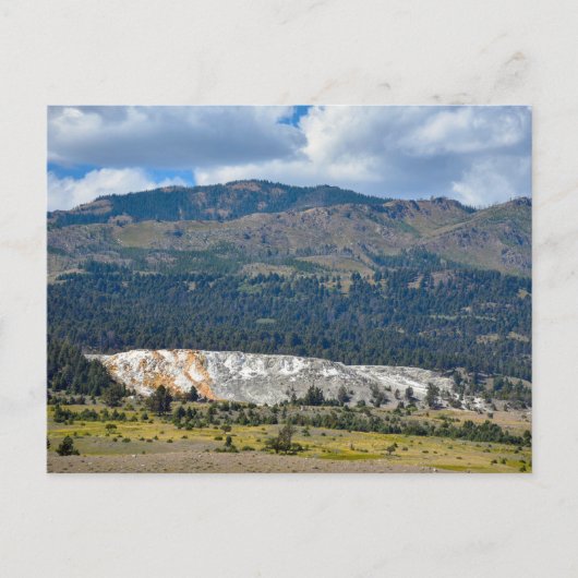Mammoth Hot Springs, Yellowstone, Wyoming Briefkaart (Voorkant)