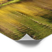 MAMMOTH LAKT AREA MET HERFST REFLECTIES POSTER (Hoek)