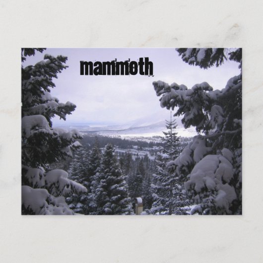 Mammoth Mountain Briefkaart (Voorkant)