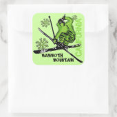 Mammoth Mountain California green skier stickers (Tas)