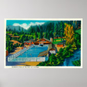 Mammoth Pool op Sol Duc Hot Springs Poster (Voorkant)