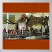 Mammoth! Poster (Voorkant)