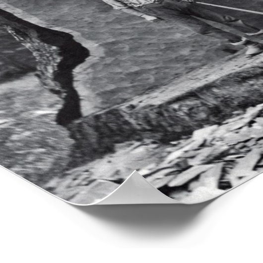 MAMMOTH SEQUOIA c. 1878 Poster (Hoek)