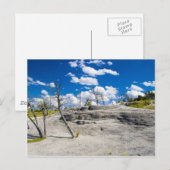 Mammoth Springs Briefkaart (Voorkant / Achterkant)