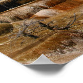 Mammoth Terraces Poster (Hoek)