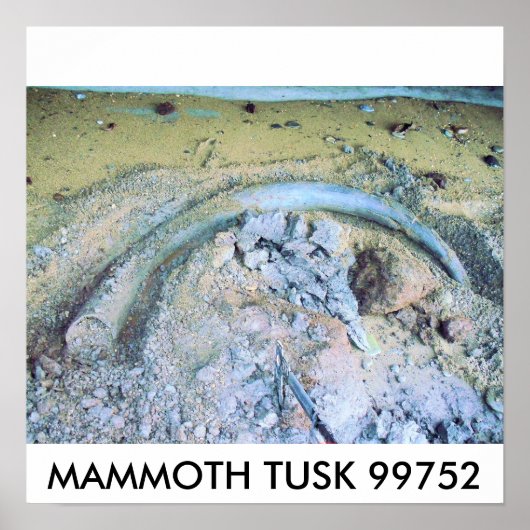 mammoth tusk (2), MAMMOTH TUSK 99752 Poster (Voorkant)