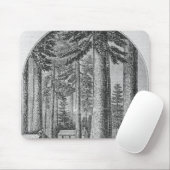 Mammothaboom groveert in de Valley van de Muismat (Met muis)