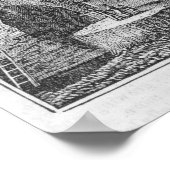 Mammothaboom groveert in de Valley van de Poster (Hoek)