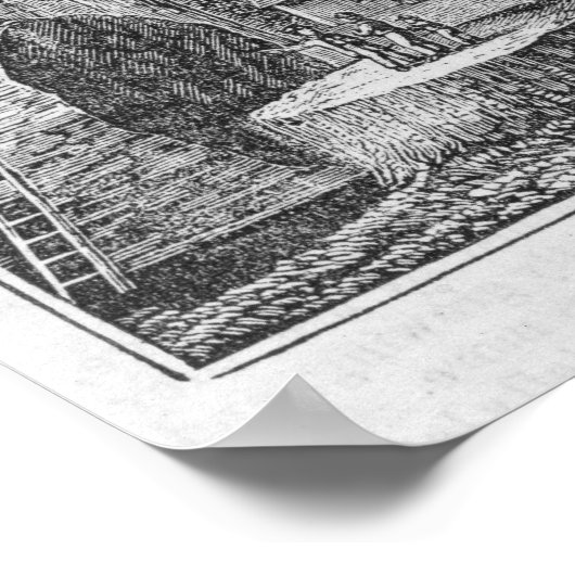 Mammothaboom groveert in de Valley van de Poster (Hoek)